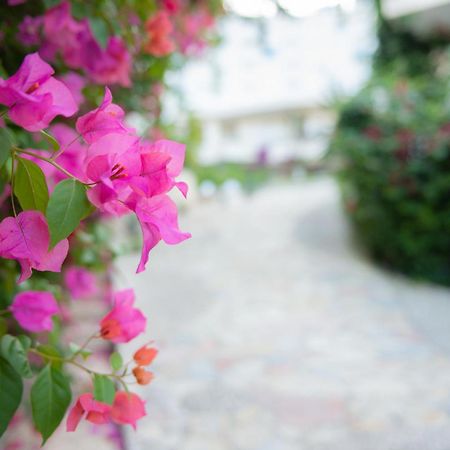 Bougainville Bay Apartments Sarandë エクステリア 写真