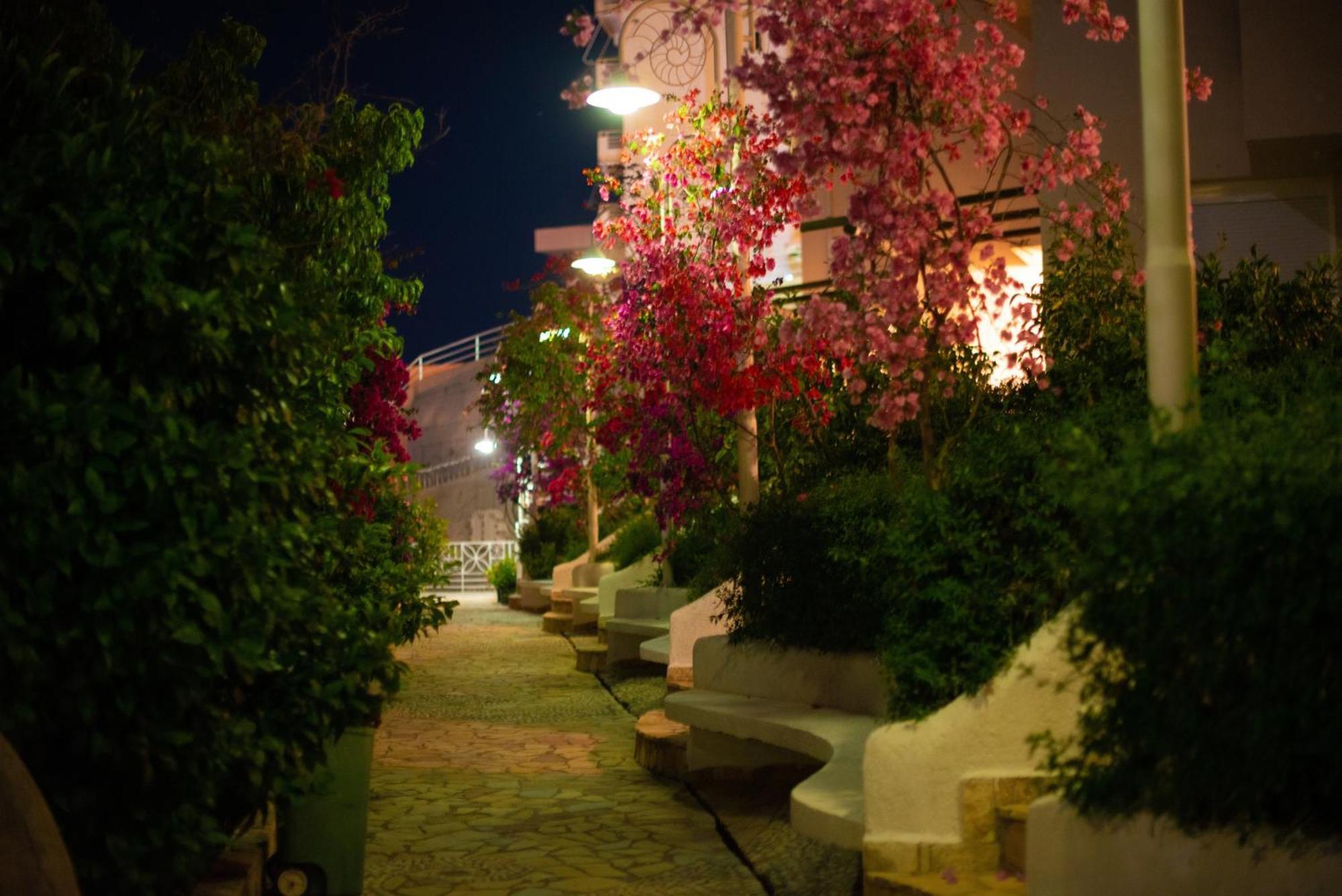 Bougainville Bay Apartments Sarandë エクステリア 写真