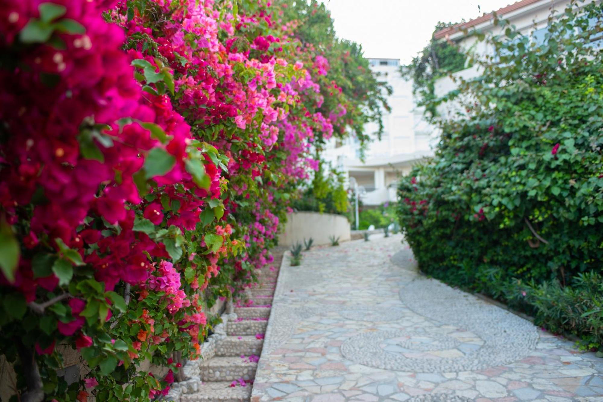 Bougainville Bay Apartments Sarandë エクステリア 写真